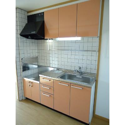 メゾン　ド　ジャスミン 202【管理NO：1-012449501-02020】 ★家具家電は申し込み後に搬入します★の物件写真3