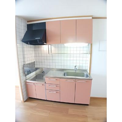 シャイニー・ウィングス　Ｂ 201【管理NO：1-011912302-02010】 ★家具家電は申し込み後に搬入します★の物件写真3