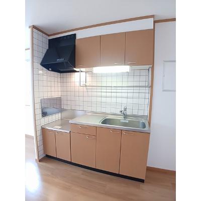 グリーン　ゲイブルズ　Ⅲ番館 201【管理NO：1-011691403-02010】 ★家具家電は申し込み後に搬入しますの物件写真3