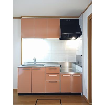 ビッグ　フォレスト　Ａ 102【管理NO：1-012101601-01020】 ★家具家電は申し込み後に搬入します★の物件写真3