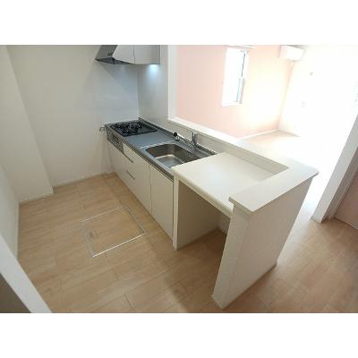 ミッキードリーム 103【管理NO：1-024325001-01030】 2026年07月中旬入居可能の物件写真3