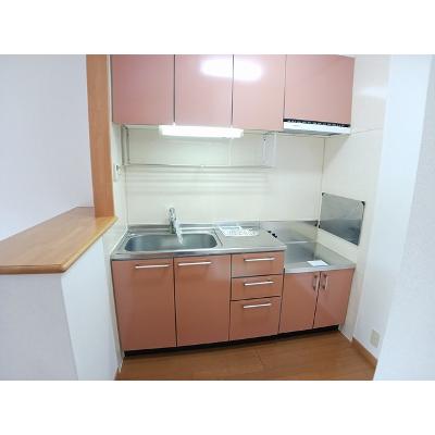 ペンサミエントＣ 203【管理NO：1-012748003-02030】 ★家具家電は申し込み後に搬入します★の物件写真3