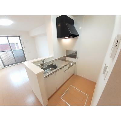 メゾン・ド・グレイス 103【管理NO：1-019224001-01030】 ★家具家電は申し込み後に搬入します★の物件写真3