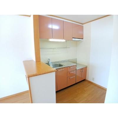 チェルシーⅠ 203【管理NO：1-012852101-02030】 ★家具家電は申し込み後に搬入します★の物件写真3