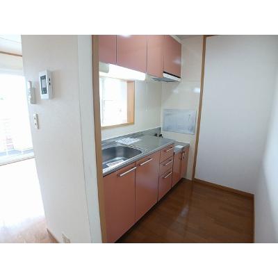 クリスマスローズⅡ 101【管理NO：1-012719601-01010】 ★家具家電は申し込み後に搬入します★の物件写真3