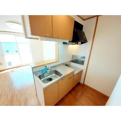 クリスマスローズ 201【管理NO：1-012133801-02010】 ★家具家電は申し込み後に搬入します★の物件写真3