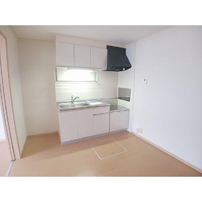 ドリーム・ハウス 102【管理NO：1-015573801-01020】 2026年08月下旬入居可能の物件写真3