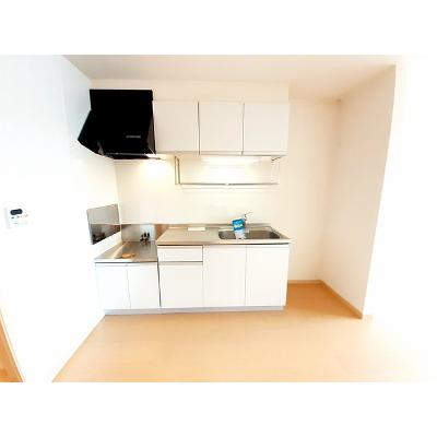 カ－サエテルノ 203【管理NO：1-016930501-02030】 ★家具家電は申し込み後に搬入します★の物件写真3