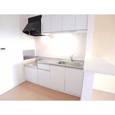 ピュア・フレイズ 203【管理NO：1-018756401-02030】 ★家具家電は申し込み後に搬入しますの物件写真3