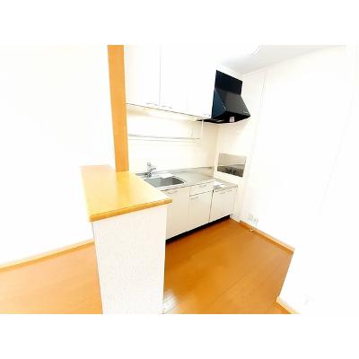 メゾン・ド・シエル弐番館 204【管理NO：1-013698602-02040】 ★家具家電は申し込み後に搬入しますの物件写真3