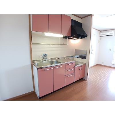 ブルーベリー・ガーデンＢ 203【管理NO：1-013391402-02030】 ★家具家電は申し込み後に搬入しますの物件写真3