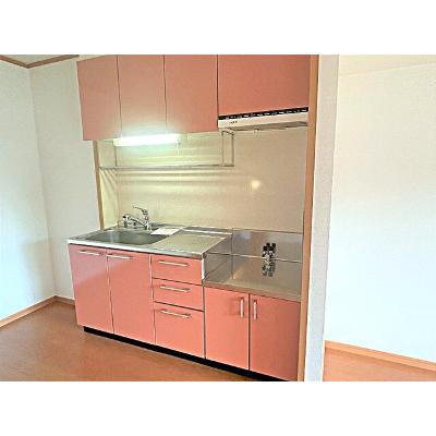 ラフィーネⅡ 202【管理NO：1-013363401-02020】 ★家具家電は申し込み後に搬入しますの物件写真3
