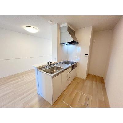 ポライトリー和　Ⅱ 103【管理NO：1-028087202-01030】 ★家具家電は申し込み後に搬入しますの物件写真3