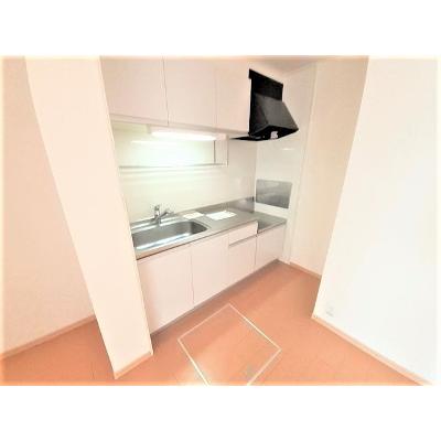 サリーチェⅡ 103【管理NO：1-016283802-01030】 ★家具家電は申し込み後に搬入しますの物件写真3