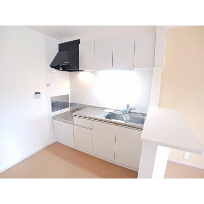 エターナルＢ 203【管理NO：1-020606302-02030】 ★家具家電は申し込み後に搬入しますの物件写真3