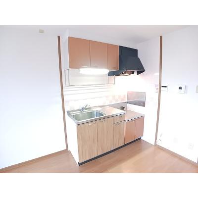 リバーサイド　アイ 203【管理NO：1-010219801-02030】 ★家具家電は申し込み後に搬入しますの物件写真3