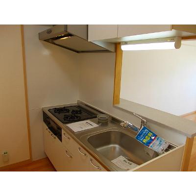 Ｄｒｅａｍ　Ｐａｌａｃｅ　邦 302【管理NO：1-015796901-03020】 ★家具家電は申し込み後に搬入します 2026年08月上旬入居可能の物件写真3