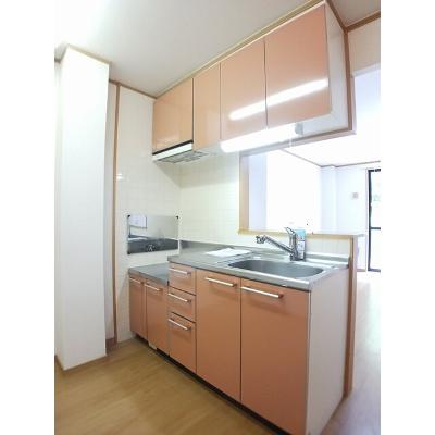 フォレストヒルズ３号館 102【管理NO：1-012243203-01020】 ★家具家電は申し込み後に搬入しますの物件写真3