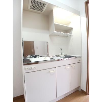 サマーパイン 203【管理NO：1-010947701-02030】 ★家具家電は申し込み後に搬入します★の物件写真3