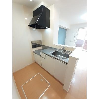 パラシオ 103【管理NO：1-020868901-01030】 2026年07月中旬入居可能の物件写真3