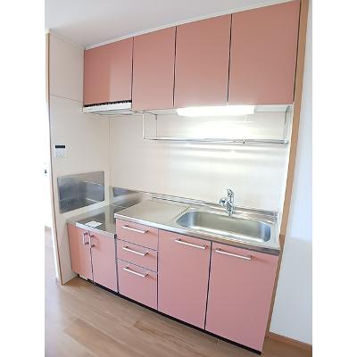エントランス　弐番館 203【管理NO：1-013423702-02030】 ★家具家電は申し込み後に搬入します★の物件写真3