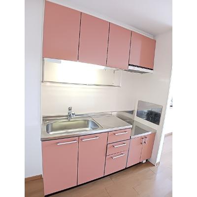 カロスアンセ弐番館 203【管理NO：1-013536202-02030】 ★家具家電は申し込み後に搬入します★の物件写真3