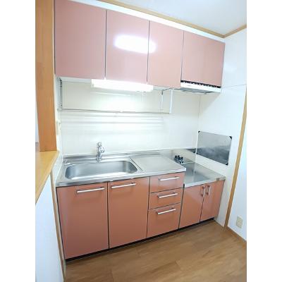 アルハンブラ二番館 203【管理NO：1-013005702-02030】 ★家具家電は申し込み後に搬入しますの物件写真3