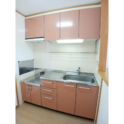 アルハンブラ二番館 201【管理NO：1-013005702-02010】 ★家具家電は申し込み後に搬入します★の物件写真3