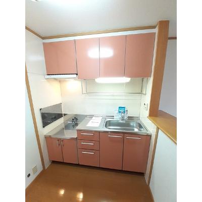 アルハンブラ一番館 202【管理NO：1-013005701-02020】 ★家具家電は申し込み後に搬入しますの物件写真3