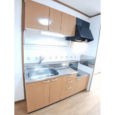 サン・ウィステリア 203【管理NO：1-011054201-02030】 ★家具家電は申し込み後に搬入しますの物件写真3