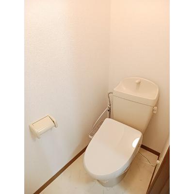 サン・ウィステリア 203【管理NO：1-011054201-02030】 ★家具家電は申し込み後に搬入しますの物件写真5