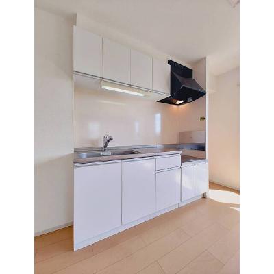 プレシアスⅡ 204【管理NO：1-018791202-02040】 ★家具家電は申し込み後に搬入します★の物件写真3