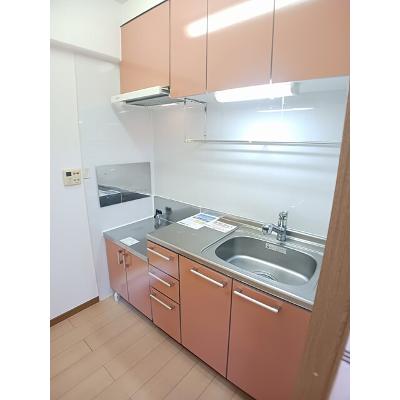 高松マナーハウス 102【管理NO：1-012493801-01020】 ★家具家電は申し込み後に搬入しますの物件写真3