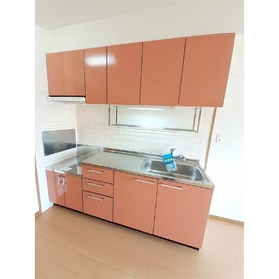 スターメゾン古国府 301【管理NO：1-012374401-03010】 ★家具家電は申し込み後に搬入します 2026年08月上旬入居可能の物件写真3