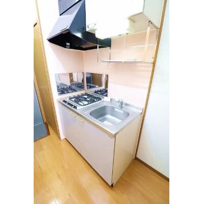 ウェルス三ヶ田 104【管理NO：1-010132201-01040】 ★家具家電は申し込み後に搬入します★の物件写真3