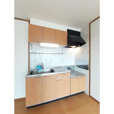 ラ・パルムドールⅠ 203【管理NO：1-011406801-02030】 ★家具家電は申し込み後に搬入しますの物件写真3