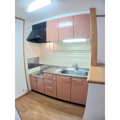 恵比寿Ⅲ 201【管理NO：1-013027103-02010】 ★家具家電は申し込み後に搬入しますの物件写真3