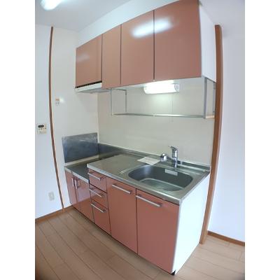 サンステージ 305【管理NO：1-012660601-03040】 ★家具家電は申し込み後に搬入します 2026年08月上旬入居可能の物件写真3