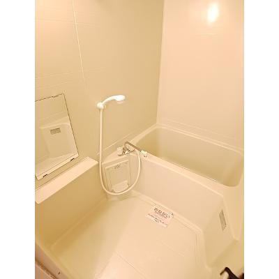 ザ・フォーレスト 203【管理NO：1-009500801-02030】 ★家具家電は申し込み後に搬入しますの物件写真4