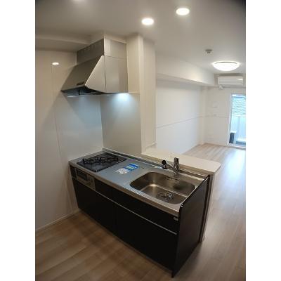 シャインエクセレント 302【管理NO：1-027304801-03020】 ★家具家電は申し込み後に搬入しますの物件写真3