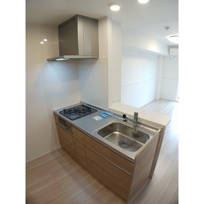 シャインエクセレント 203【管理NO：1-027304801-02030】 ★家具家電は申し込み後に搬入しますの物件写真3