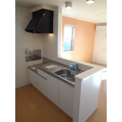 グランドサン　菊池 203【管理NO：1-018732301-02030】 ★家具家電は申し込み後に搬入します★の物件写真3