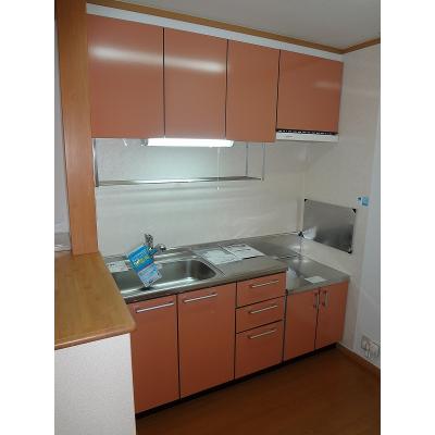 Ｎ＆ＹアベニューＤ 205【管理NO：1-012383204-02040】 ★家具家電は申し込み後に搬入しますの物件写真3