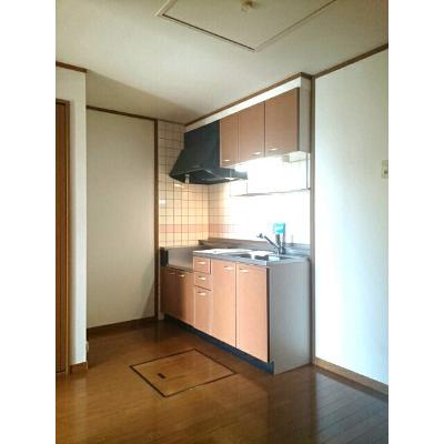 カーサ・ソレアード 102【管理NO：1-010487801-01020】 ★家具家電は申し込み後に搬入しますの物件写真3