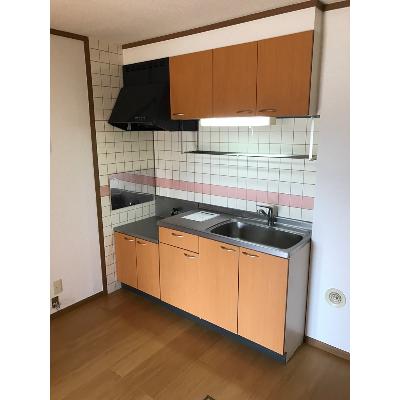 ドエール４０５ 102【管理NO：1-009776501-01020】 ★家具家電は申し込み後に搬入しますの物件写真3