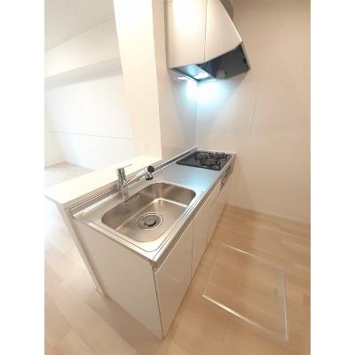 フルールデシャン　Ⅲ 103【管理NO：1-026904603-01030】 ★家具家電は申し込み後に搬入します★の物件写真3