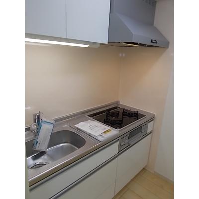 グランシャリオ 303【管理NO：1-018493801-03030】 ★家具家電は申し込み後に搬入しますの物件写真3