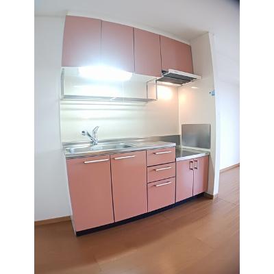 コートカルム 202【管理NO：1-013488501-02020】 ★家具家電は申し込み後に搬入します★の物件写真3