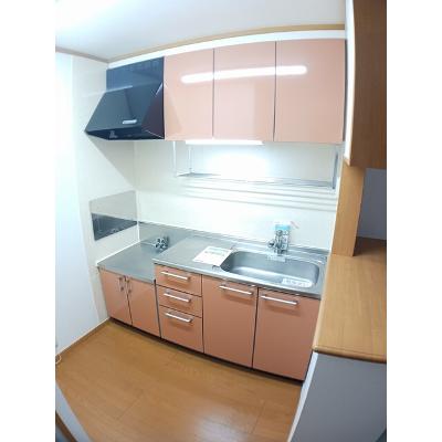 ニューアビテＢ 202【管理NO：1-013415802-02020】 ★家具家電は申し込み後に搬入しますの物件写真3