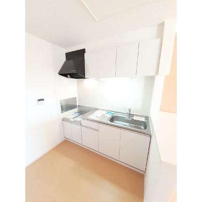 Ｖｉｌｌａ　Ｖｅｒｄｅ 203【管理NO：1-020140201-02030】 ★家具家電は申し込み後に搬入します★の物件写真3